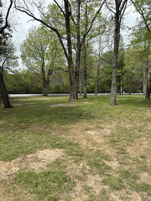 1669 Fellowship Rd, Mount Juliet, TN 37122 - view of yard
