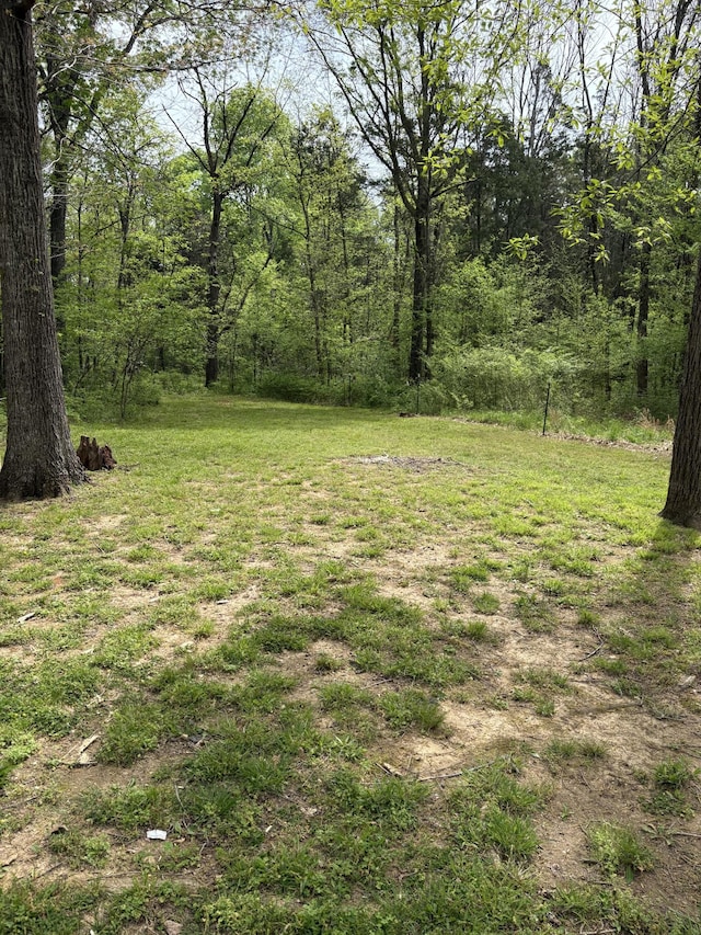 1669 Fellowship Rd, Mount Juliet, TN 37122 - view of yard