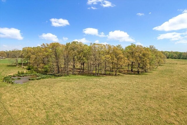 1110 Pomroy Rd, Manchester, TN 37355 - photo 15