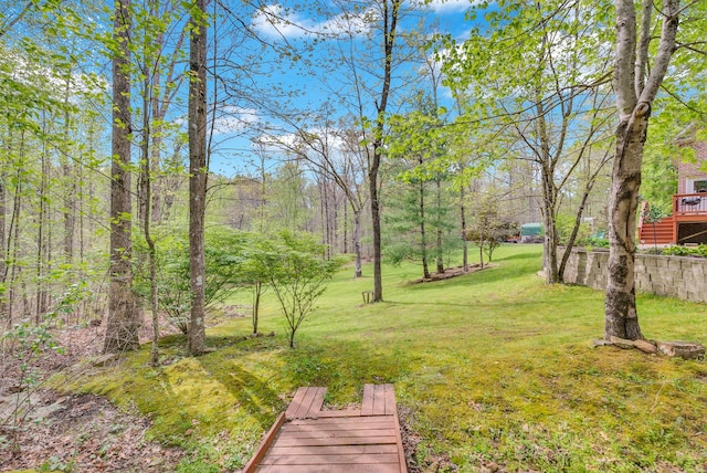 321 Clinchfield Dr, Monterey, TN 38574 - view of yard