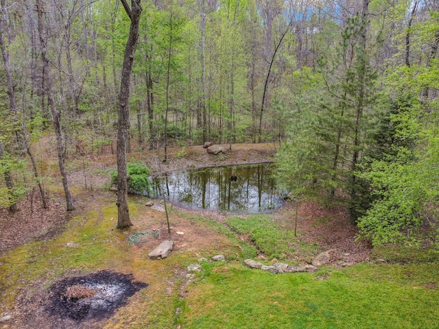 321 Clinchfield Dr, Monterey, TN 38574 - view of water feature with a wooded view