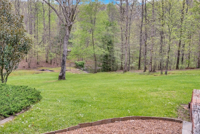 321 Clinchfield Dr, Monterey, TN 38574 - view of yard with a forest view