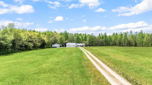 view of yard with driveway and a view of trees