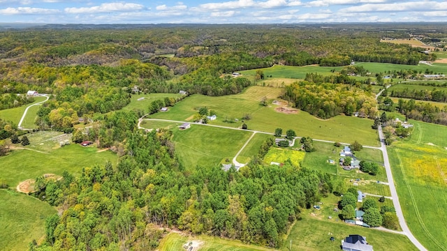bird's eye view with a forest view
