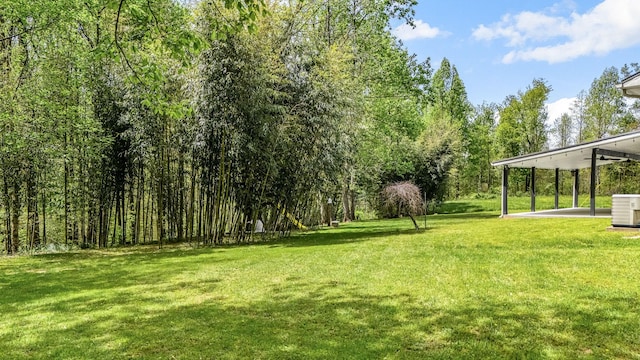 view of yard with a patio area