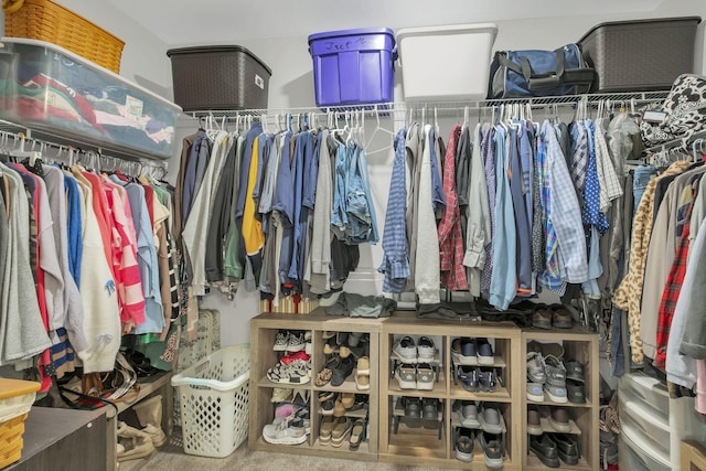 view of spacious closet