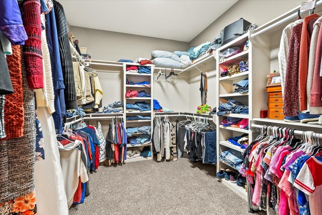walk in closet featuring carpet floors