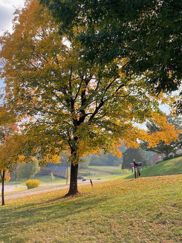 2219 Castlewood Dr, Franklin, TN 37064 - view of home's community featuring a yard