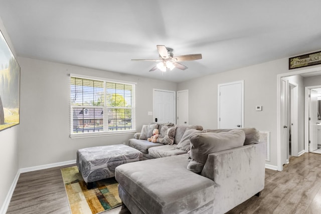 978 May Apple Dr, Clarksville, TN 37042 - photo 7