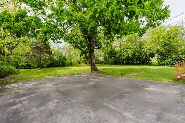 1924 Woodmont Dr, Columbia, TN 38401 - photo 11