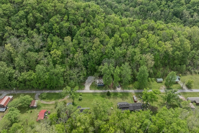 bird's eye view with a forest view