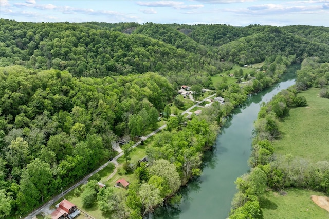 bird's eye view featuring a water view and a wooded view