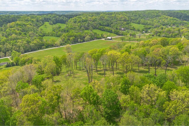 0 Love Branch Rd, Hampshire, TN 38461 - photo 8