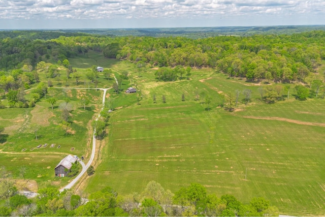 0 Love Branch Rd, Hampshire, TN 38461 - photo 10