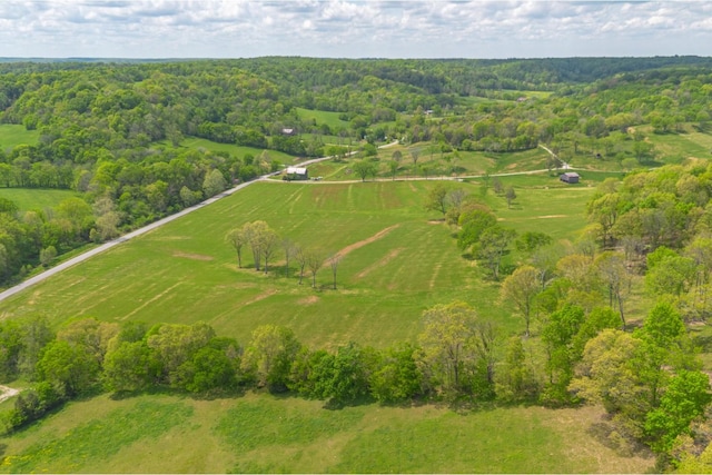 0 Love Branch Rd, Hampshire, TN 38461 - photo 9