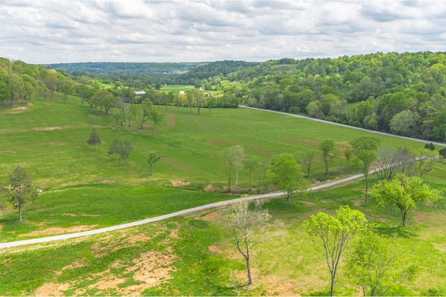 0 Love Branch Rd, Hampshire, TN 38461 - photo 6
