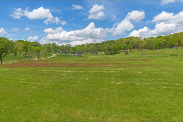 0 Love Branch Rd, Hampshire, TN 38461 - photo 4