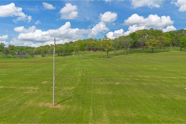 0 Love Branch Rd, Hampshire, TN 38461 - photo 2