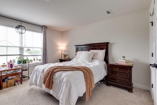 1624 Lila Dr, Murfreesboro, TN 37128 - photo 42