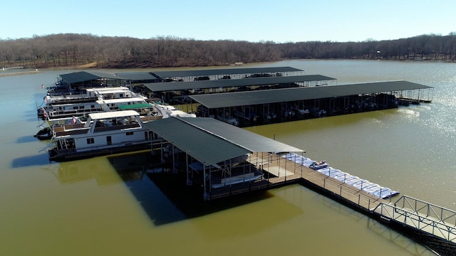 1100 Cypress Rd, Buchanan, TN 38222 - view of dock featuring a forest view and a water view