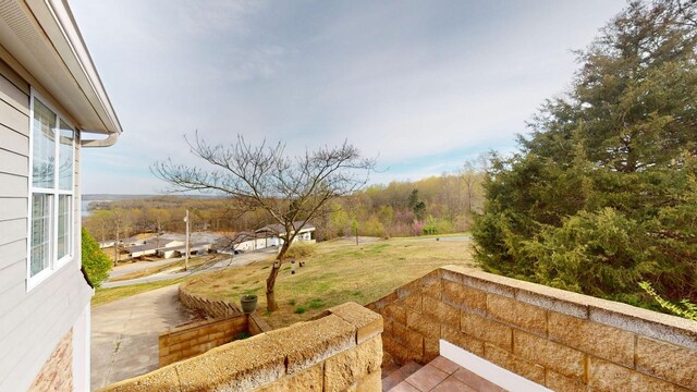 1100 Cypress Rd, Buchanan, TN 38222 - view of yard