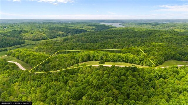 3200 Jack Saunders Rd, Waverly, TN 37185