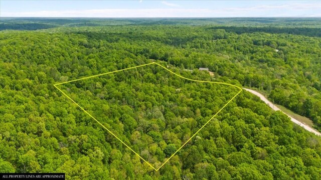3200 Jack Saunders Rd, Waverly, TN 37185