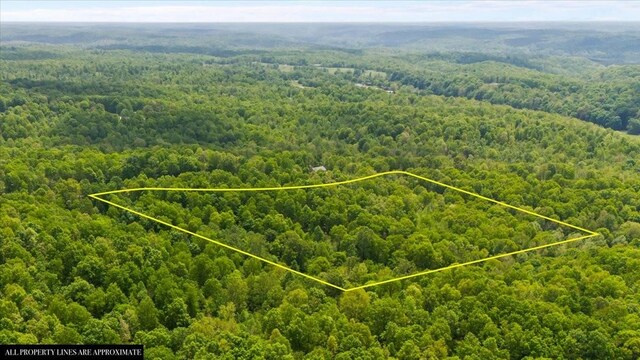 3200 Jack Saunders Rd, Waverly, TN 37185