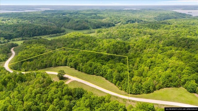 3200 Jack Saunders Rd, Waverly, TN 37185