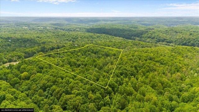3200 Jack Saunders Rd, Waverly, TN 37185