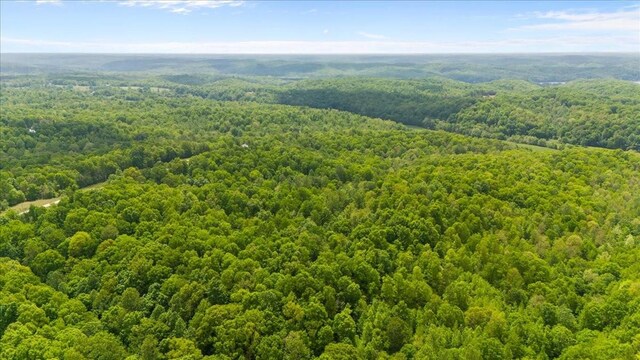 3200 Jack Saunders Rd, Waverly, TN 37185