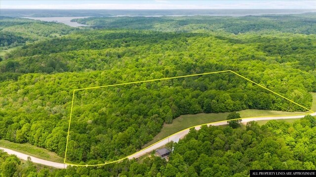 3200 Jack Saunders Rd, Waverly, TN 37185