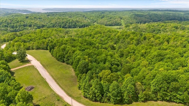 3200 Jack Saunders Rd, Waverly, TN 37185