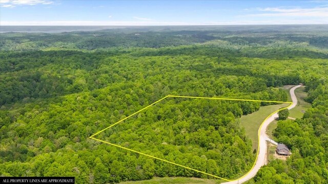 3200 Jack Saunders Rd, Waverly, TN 37185