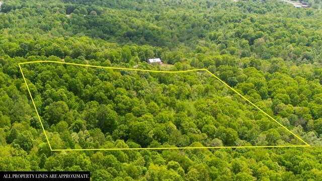 3200 Jack Saunders Rd, Waverly, TN 37185