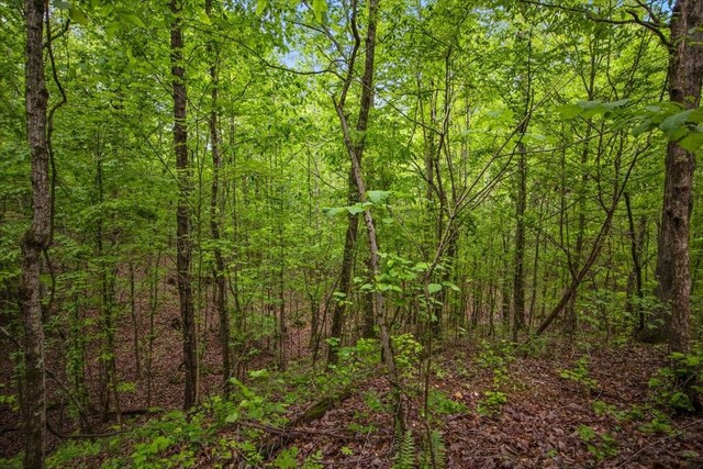 3200 Jack Saunders Rd, Waverly, TN 37185