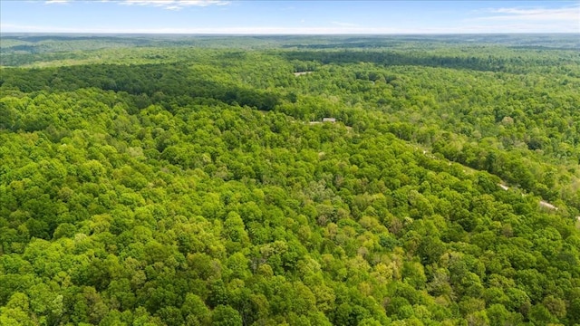 3200 Jack Saunders Rd, Waverly, TN 37185