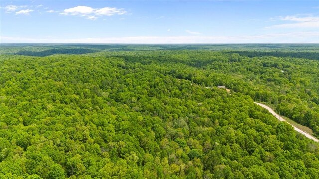 3200 Jack Saunders Rd, Waverly, TN 37185