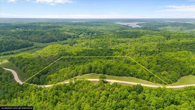 3200 Jack Saunders Rd, Waverly, TN 37185