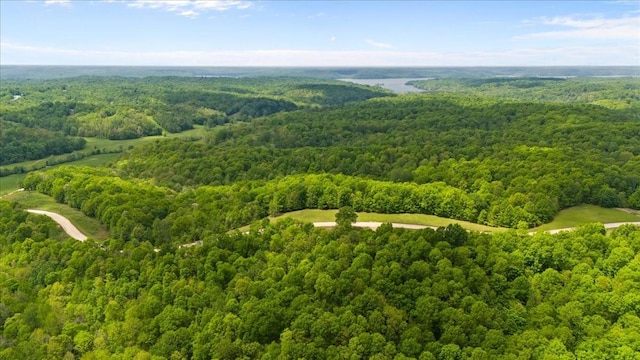 3200 Jack Saunders Rd, Waverly, TN 37185