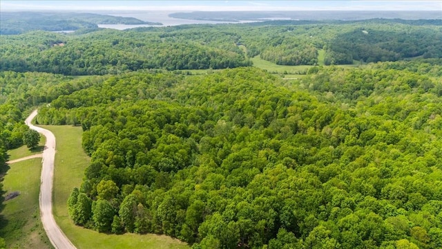 3200 Jack Saunders Rd, Waverly, TN 37185
