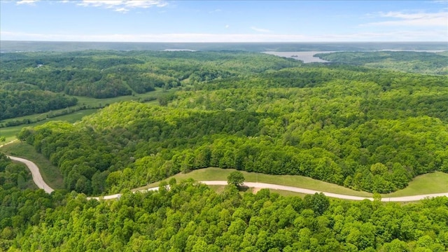3200 Jack Saunders Rd, Waverly, TN 37185