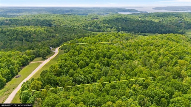3200 Jack Saunders Rd, Waverly, TN 37185