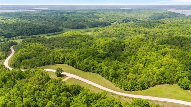 3200 Jack Saunders Rd, Waverly, TN 37185