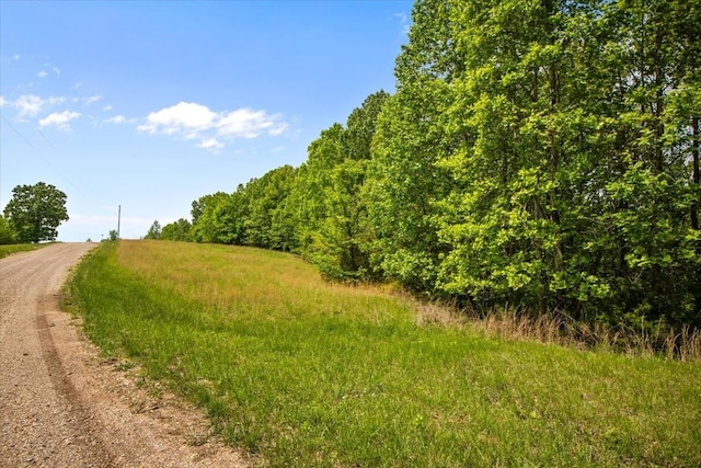 3200 Jack Saunders Rd, Waverly, TN 37185