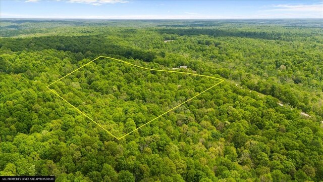 3200 Jack Saunders Rd, Waverly, TN 37185
