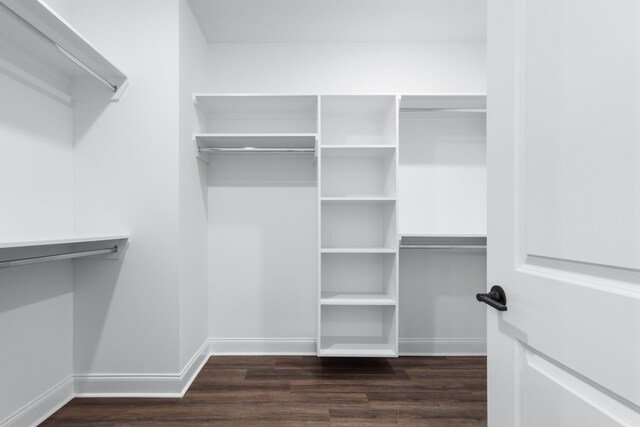463 Centre St, Pleasant View, TN 37146 - spacious closet with dark wood-type flooring
