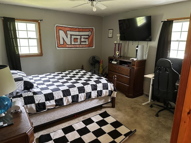 12748 Fruit Hill Red Bridge Rd, Crofton, KY 42217 - bedroom with ceiling fan and light colored carpet