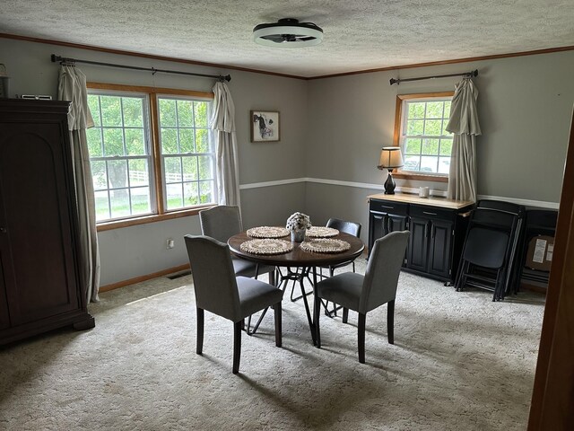 12748 Fruit Hill Red Bridge Rd, Crofton, KY 42217 - dining space with light colored carpet, baseboards, visible vents, a textured ceiling, and crown molding