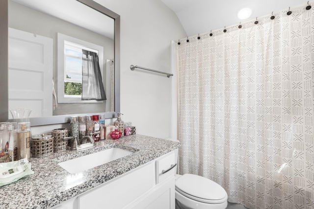 309 Cedar Ct, Clarksville, TN 37042 - bathroom featuring vanity, toilet, a shower with curtain, and lofted ceiling